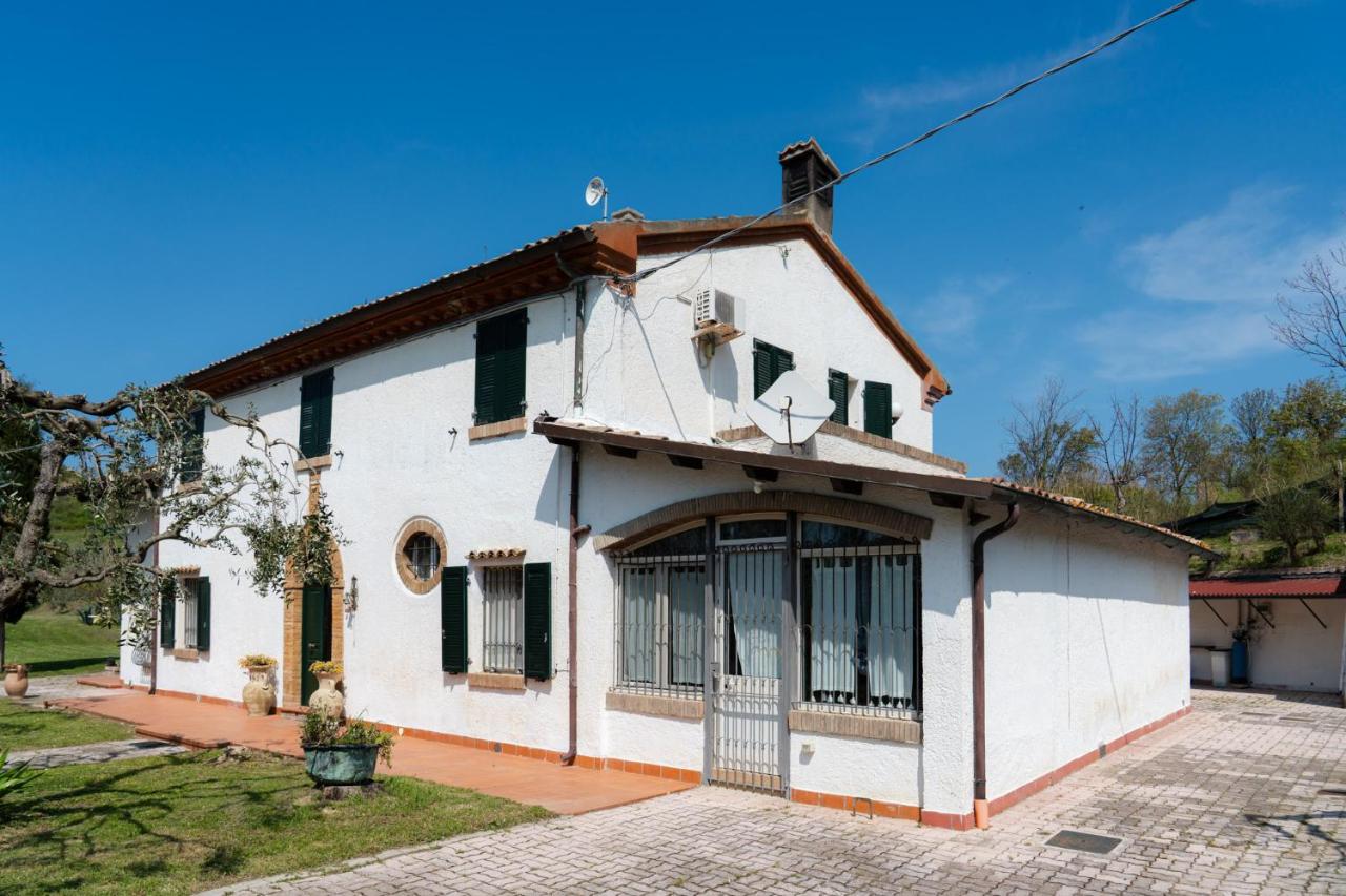 Villa Napoleone a 10 min dal mare Pesaro - B&B Santa Marina