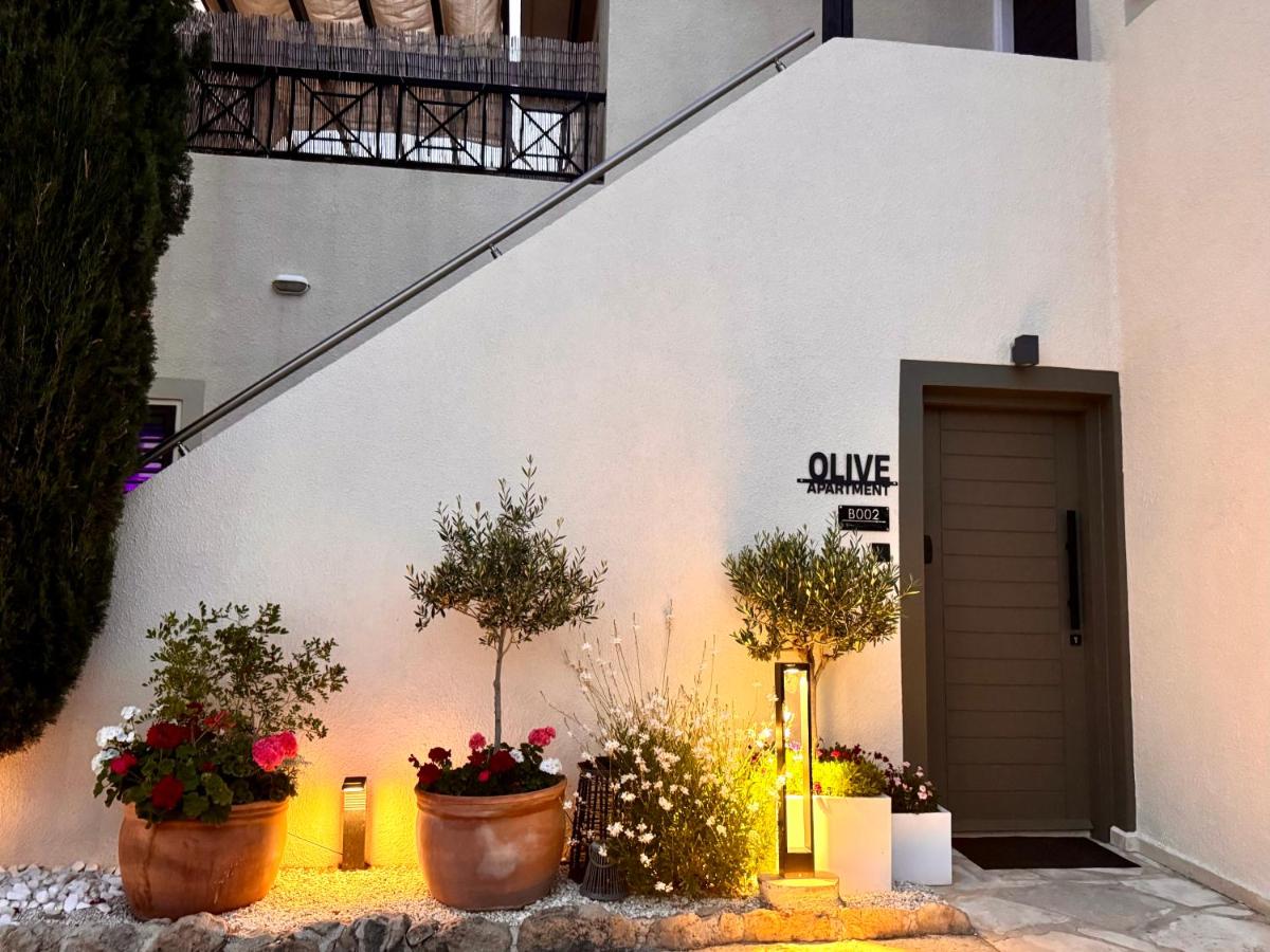Olive Apartment - B&B Tala, Cyprus