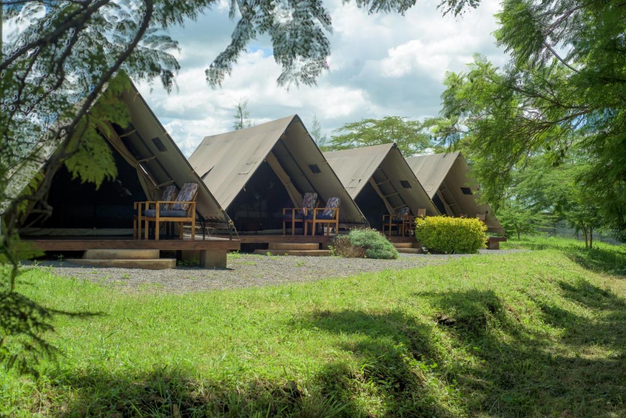 The Stripey Horse Camp and Restaurant - B&B Kenplains