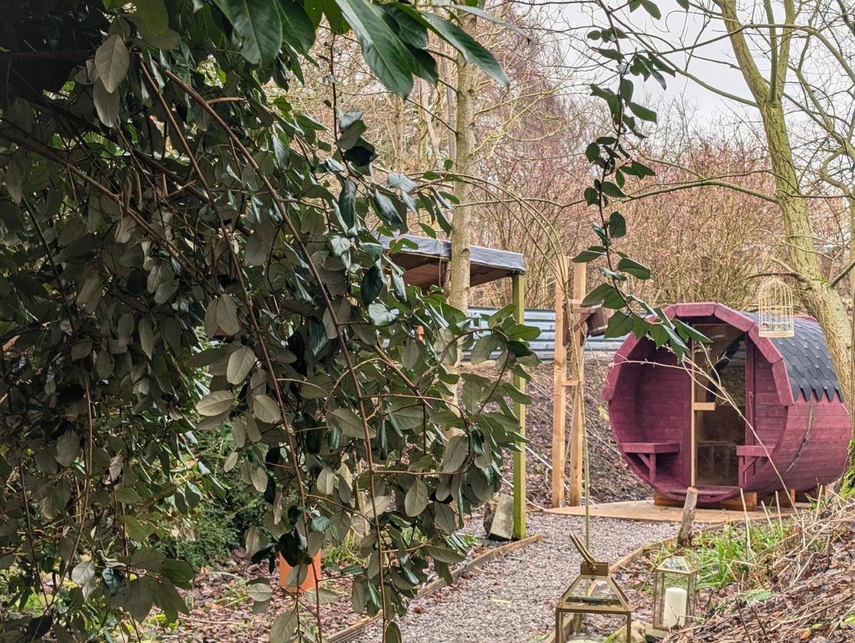 Bird Box - B&B Carlisle
