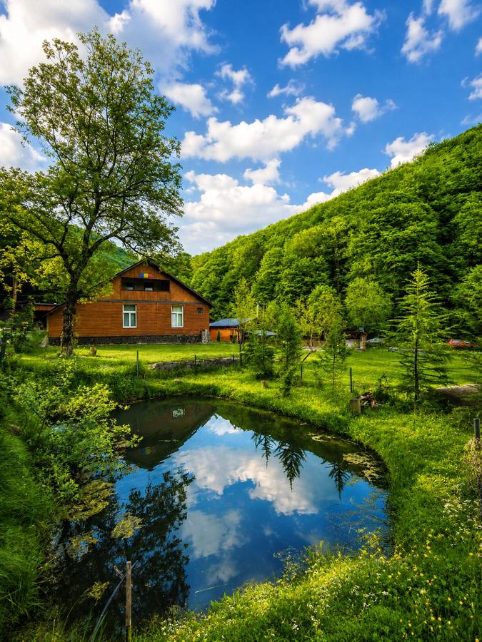 Cabana Tarța din Blidari 1 - B&B Baia Mare