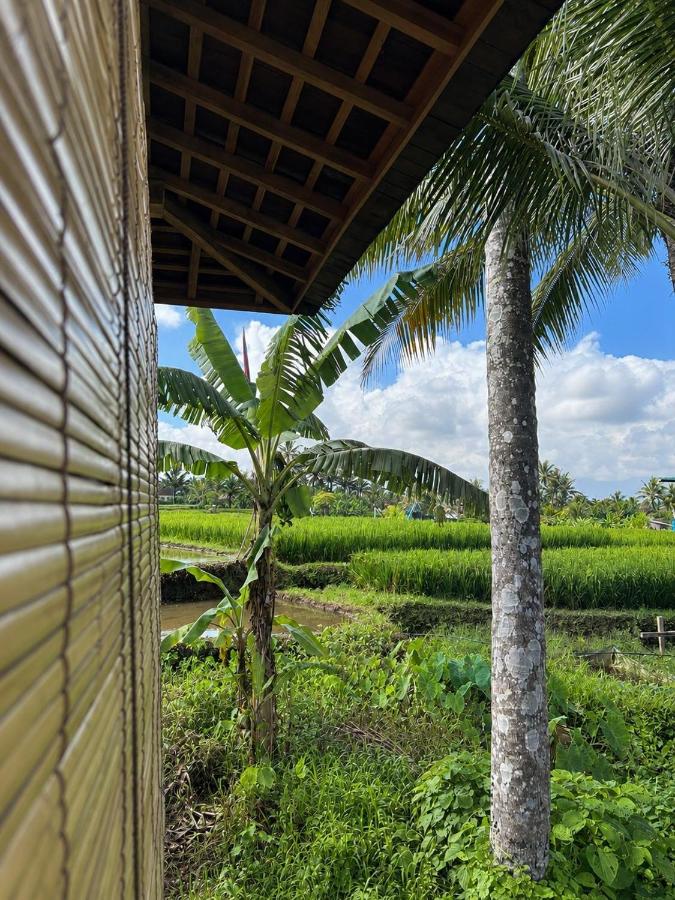 Two-Bedroom Two Storey Pool Villa With Jungle View