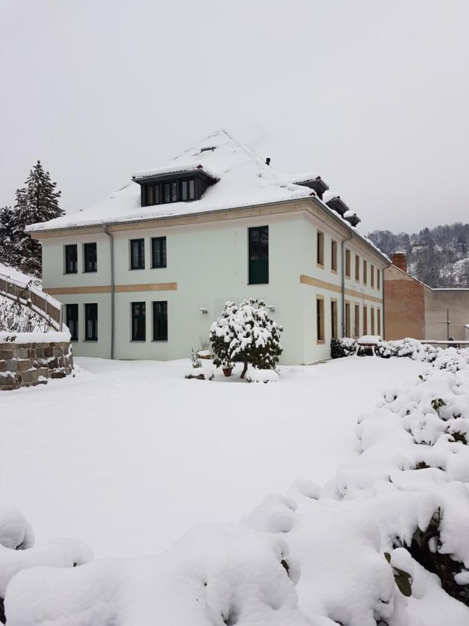 Pension Am Finkenberg - Ferienwohnung Sebnitz