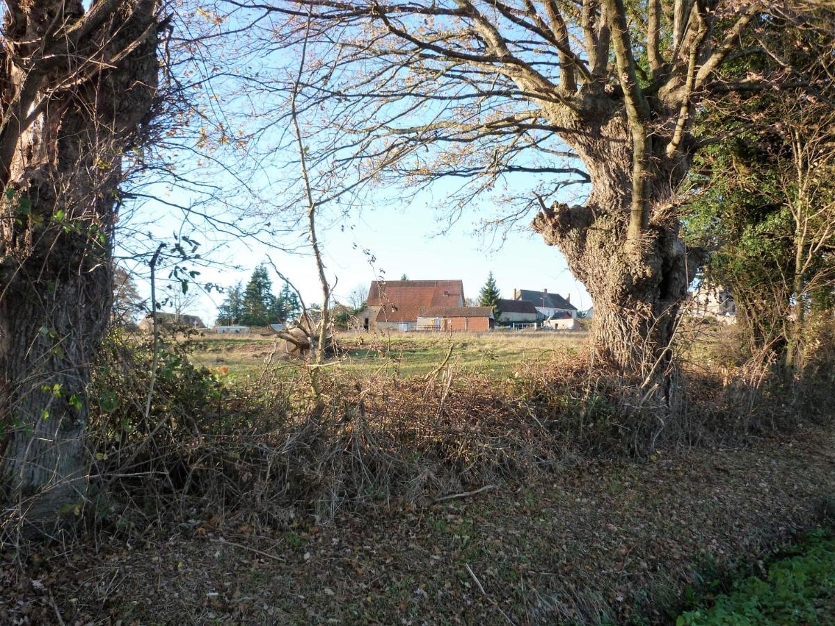 Chante-Cristal - B&B Target