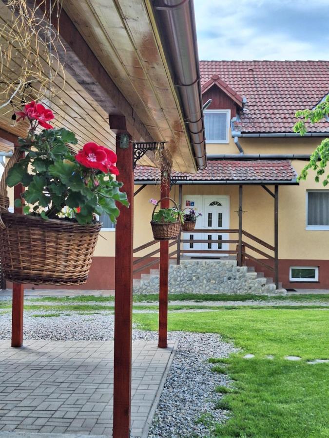 Casa din Prund din Porumbacu de sus - Chambres d'hôtes Porumbacu de Sus