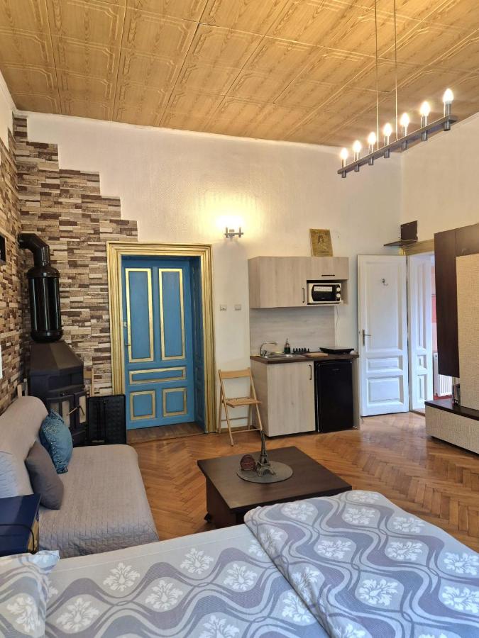 Central 2 bedrooms apartment - Chambres d'hôtes Braşov