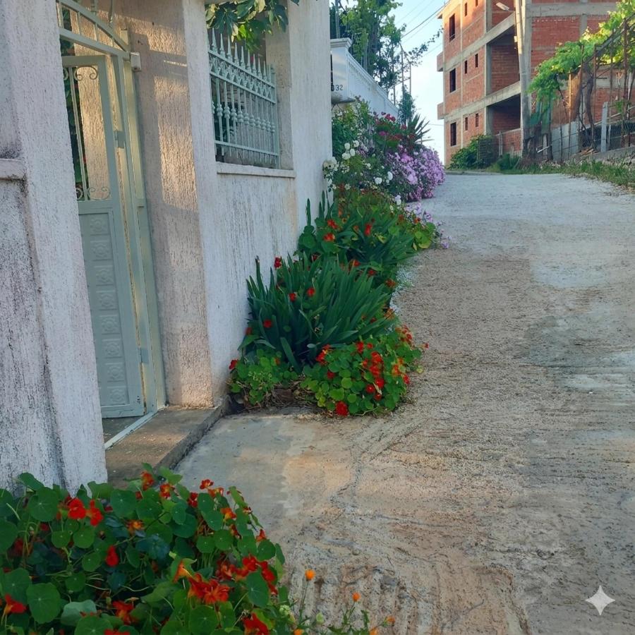 Sarsed Home, Sarande - Bed and Breakfast Sarandë