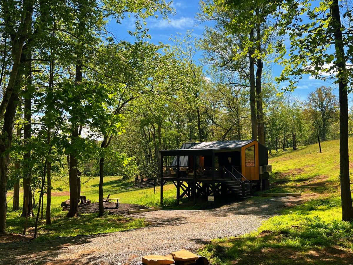 Bison Farm - Cabin "Loma" - B&B Culpeper