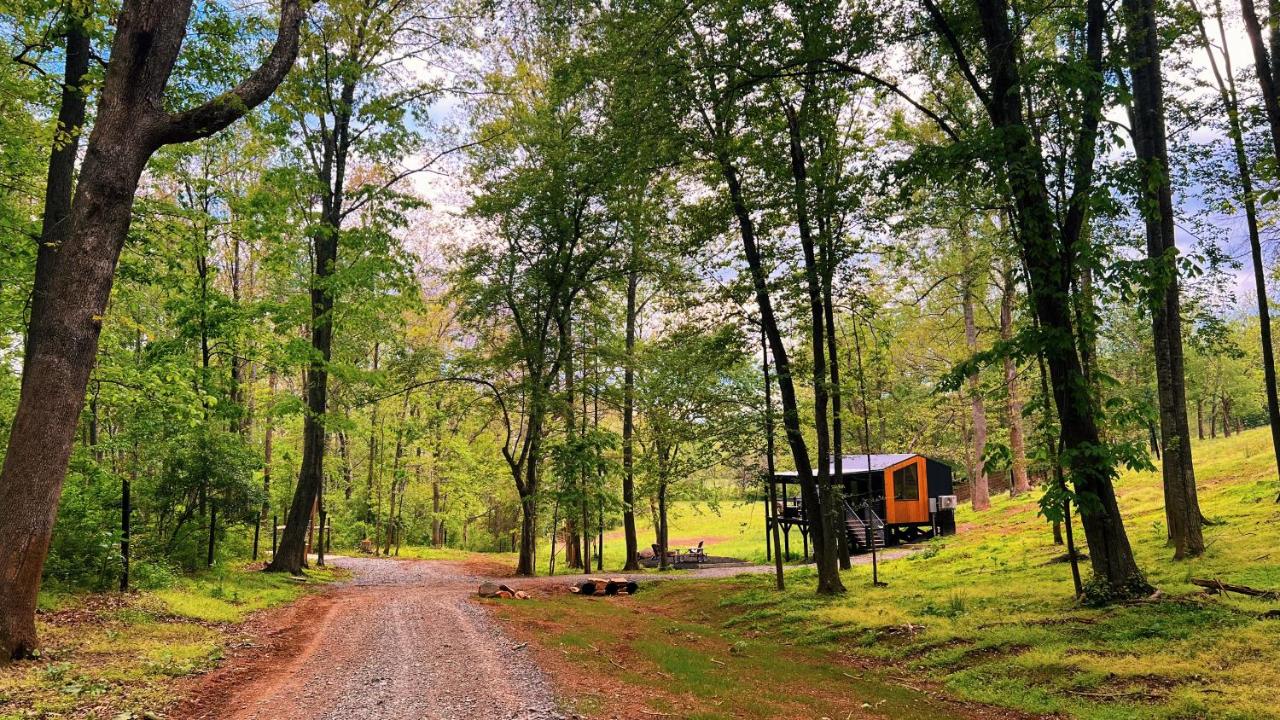 Bison Farm - Cabin "Loma" - B&B Culpeper