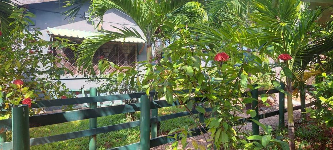 Romis homes - B&B Diani Beach