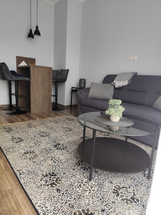 Cozy Apartment in Old Riga & Free Underground Parking - B&B Riga
