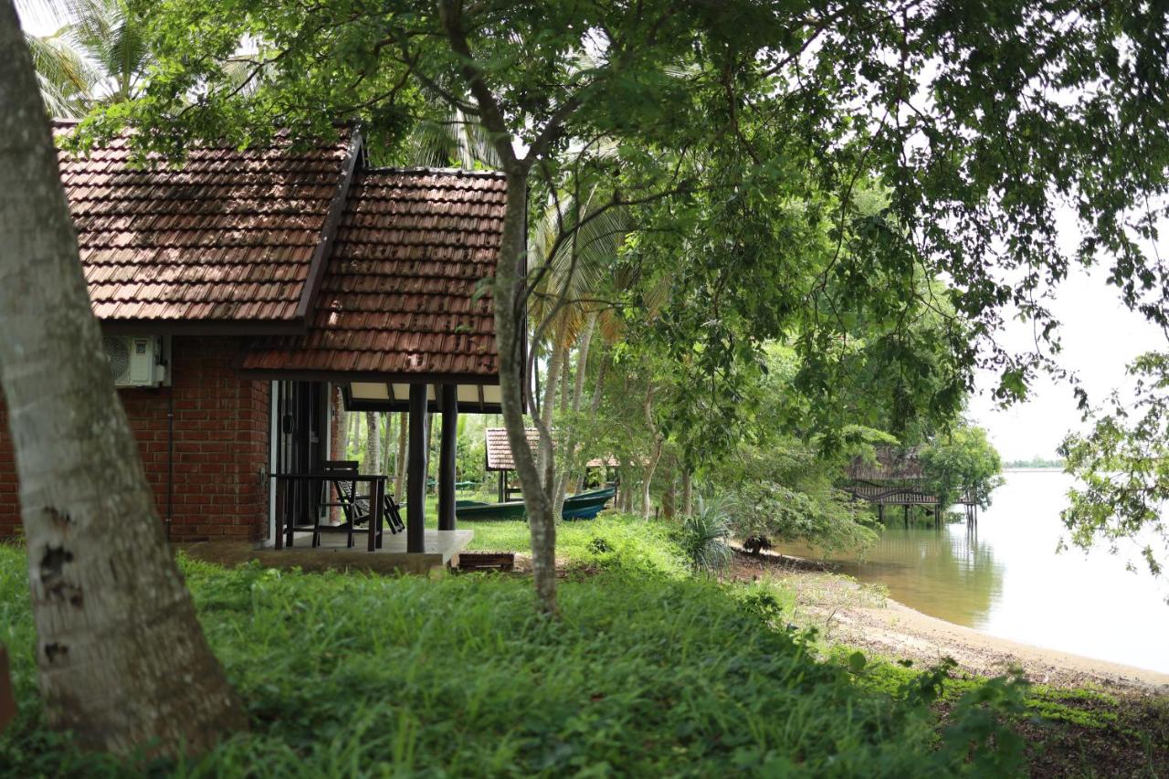 Aji fruit farm cottage peaceful lakeside farm stay with sunrise views 02 - B&B Embilipitiya