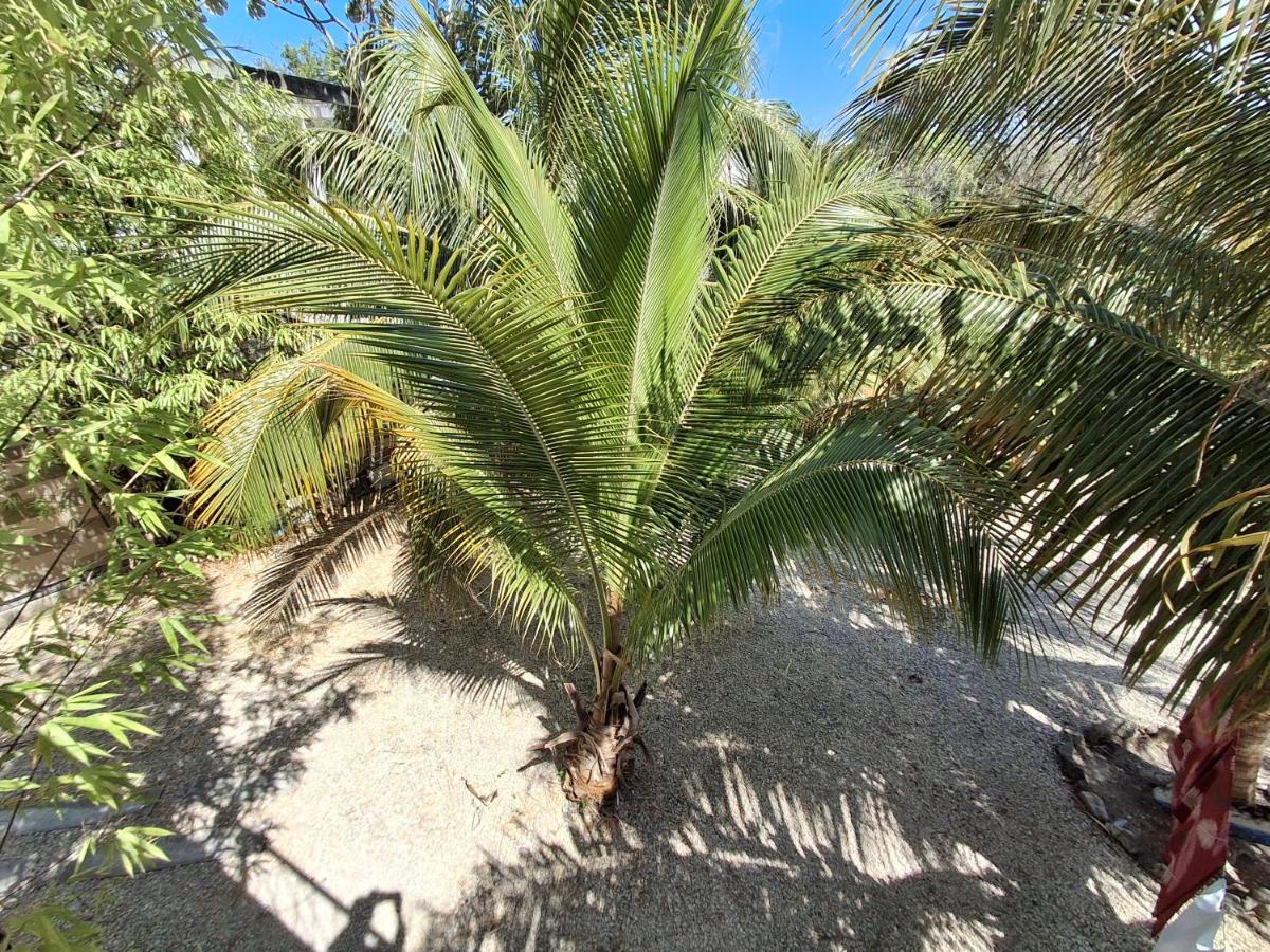 Casa Pavezin - B&B Mahahual