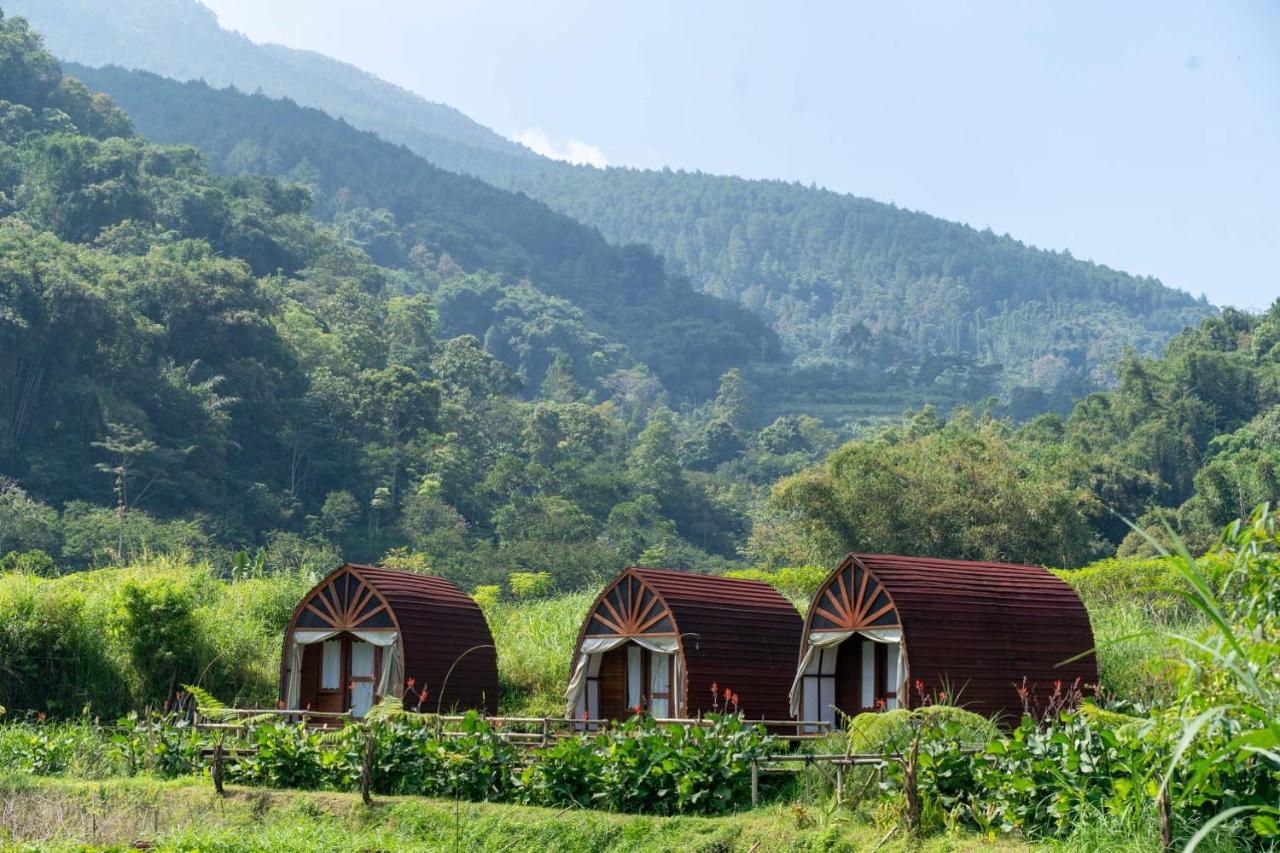 Healing Village - Chambres d'hôtes Pagergunung