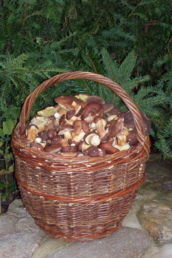 Penzion Kukla - B&B Kuklík