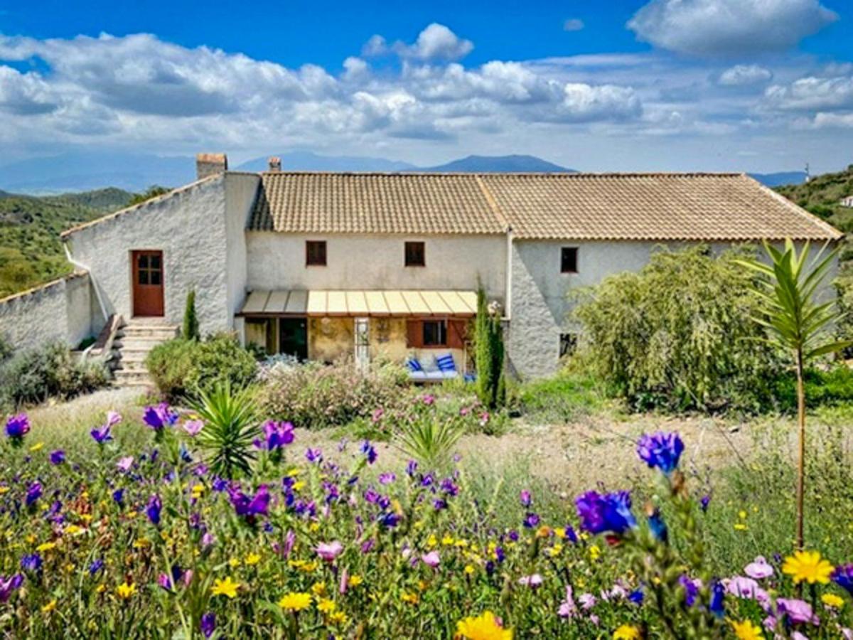 Rural Farm Among Olive Trees Near Malaga - B&B Alora