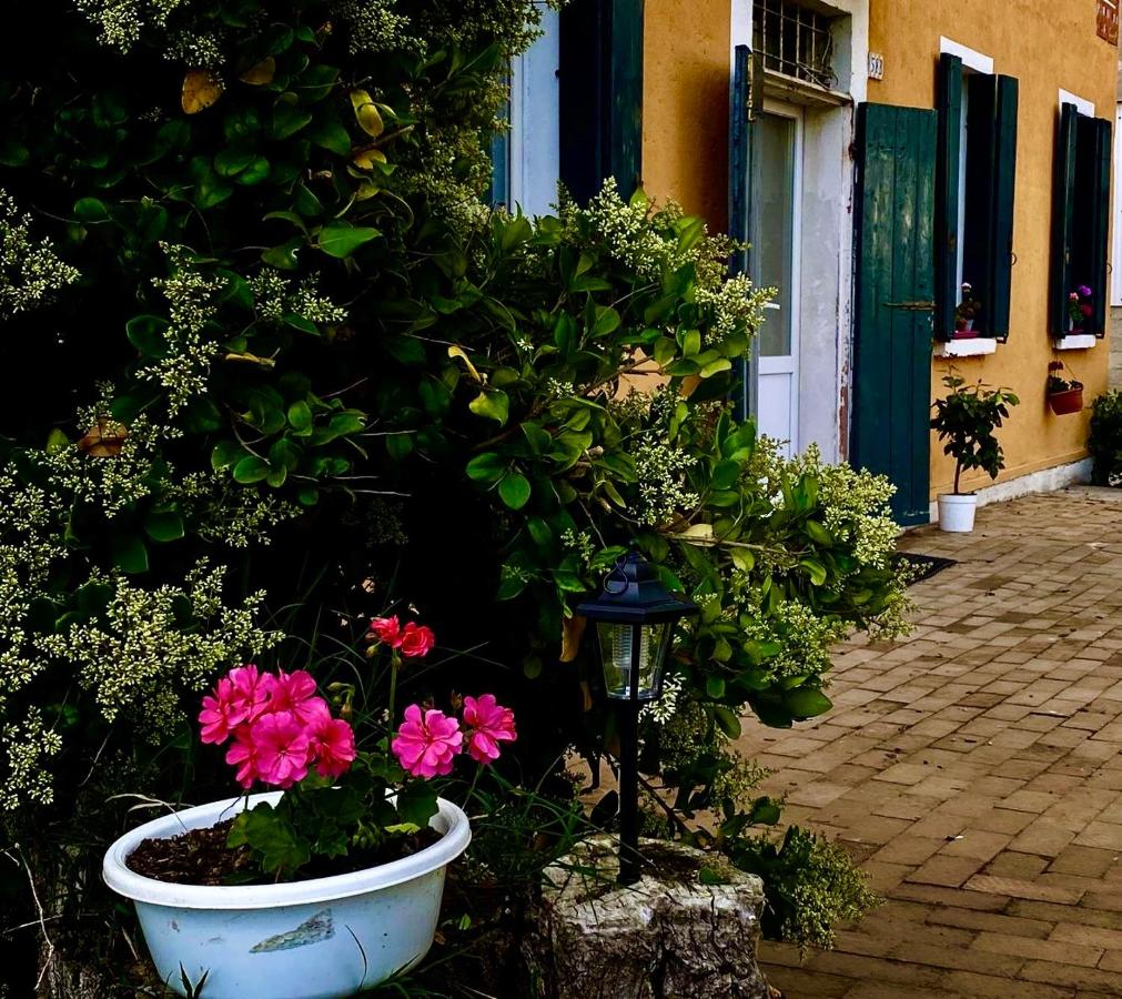 Agriturismo Corte Filippi - Ferienwohnung Villadose