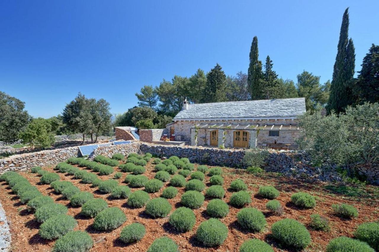 B&B Poljica - Villa Humac Hvar - Bed and Breakfast Poljica