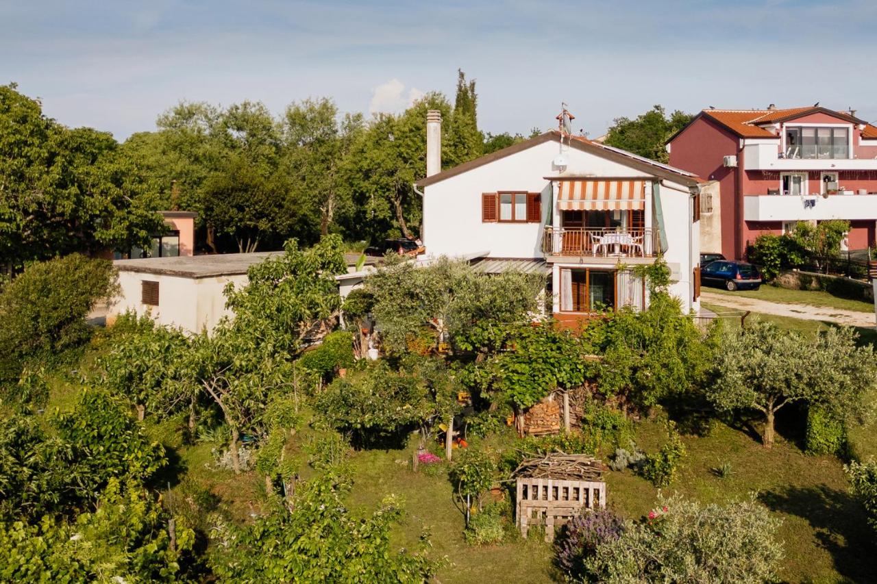 Apartman Makovac - B&B Triban