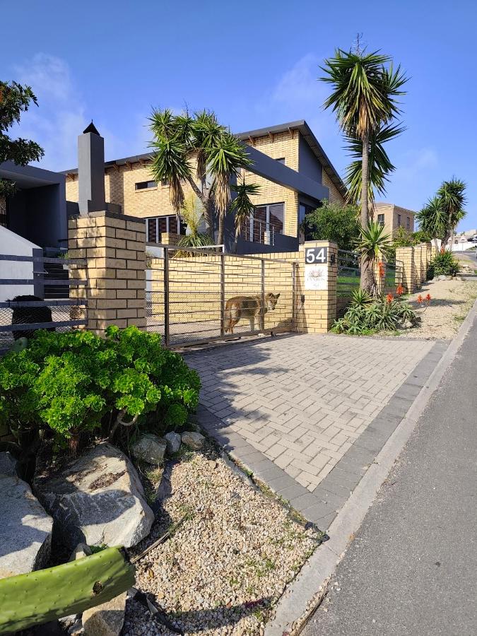 Fynbos Single Stay - B&B Langebaan