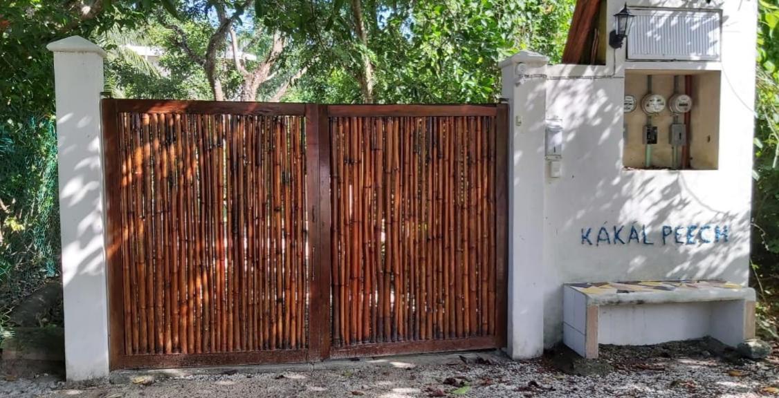 MINI PINI BIRD WATCHING AND CENOTE Loft - B&B San Miguel de Cozumel