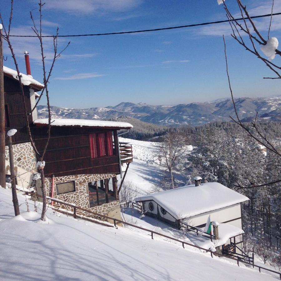 Александрова вила 1 - Ferienwohnung Zlatograd