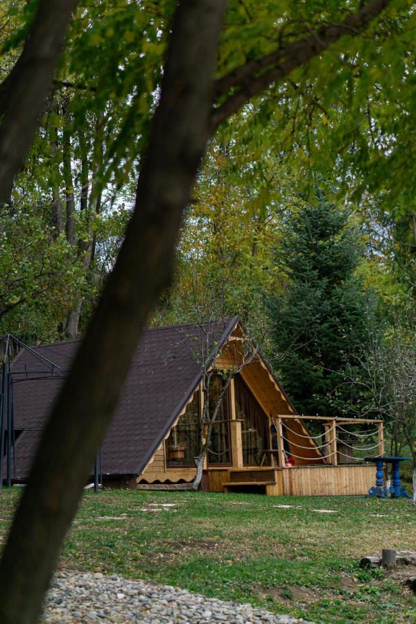 Casa Matteo & Camping - B&B Albeştii de Argeş