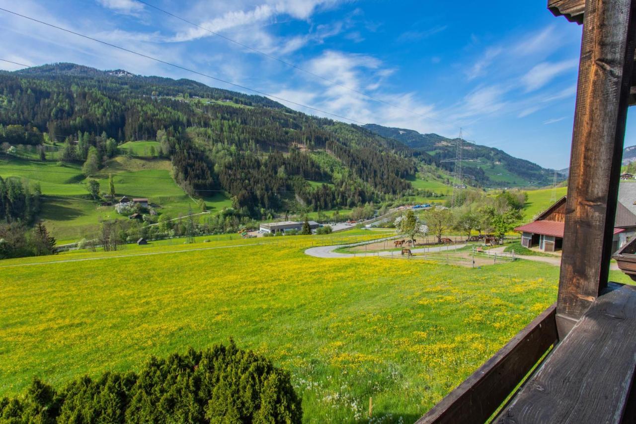 Huberhof 6 by Alpenidyll Apartments - Ferienwohnung Schladming