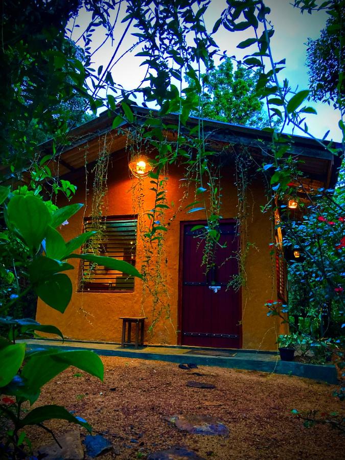 Serendib House - River View Jungle Stay Near Sinharaja Kudawa Gate - Ferienwohnung Kalawana