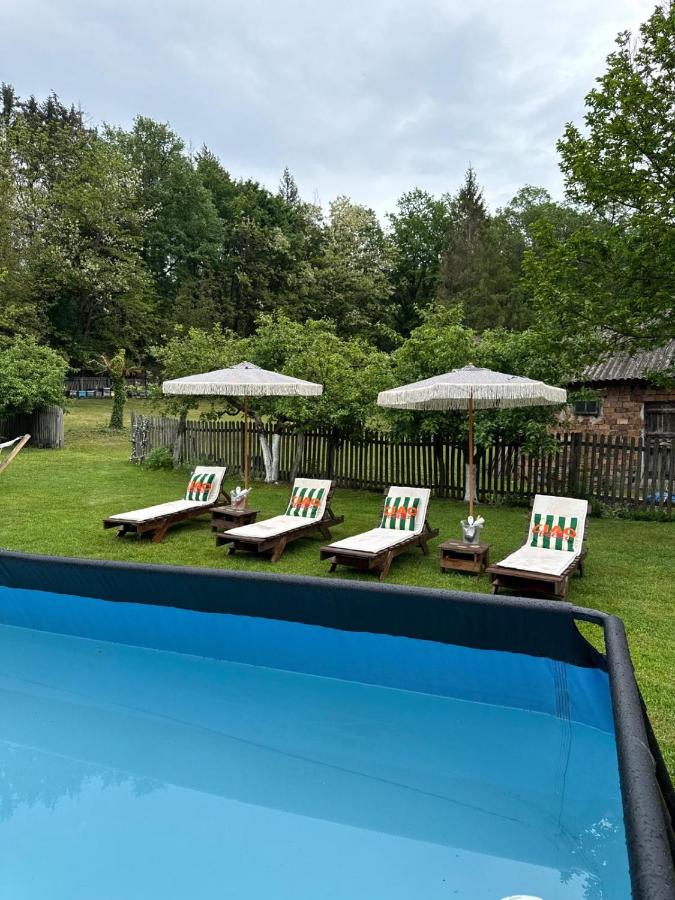 Cabana Oana 5-bedrooms chalet - B&B Arad