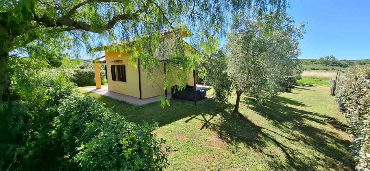 Villa Oliva - B&B Canino