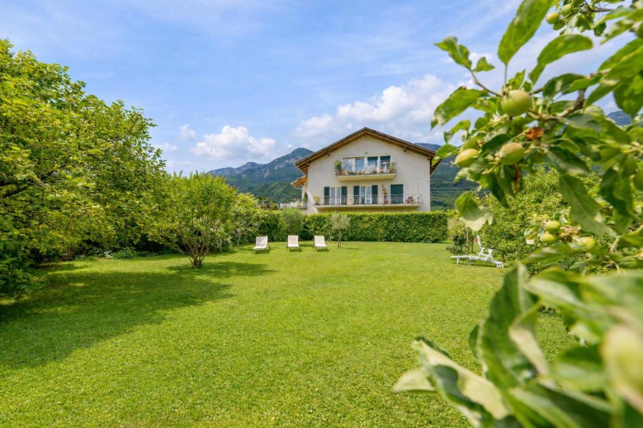 Ferienwohnung Seespiegel direkt am Kalterer See - B&B Coltura