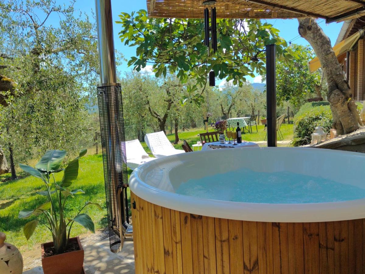 Cottage La Dolce Agogia Panicale - B&B Panicale