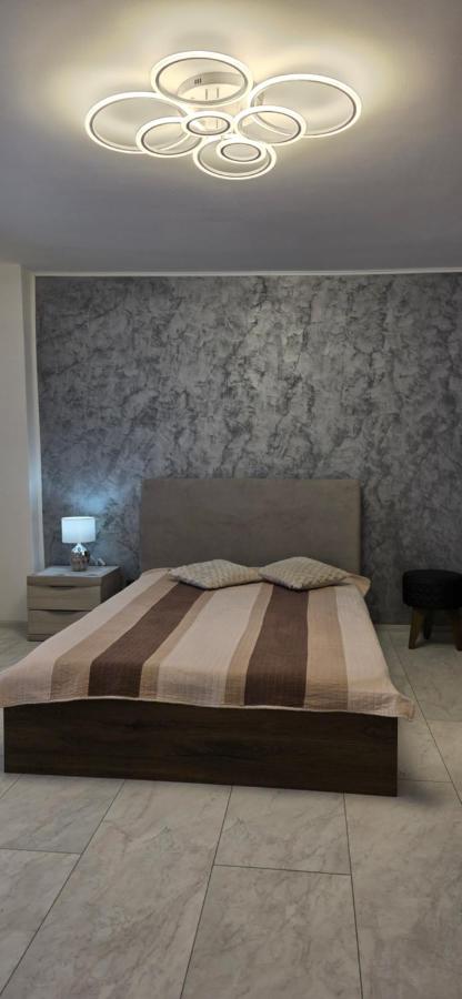Studio Central Brancusi - Ferienwohnung Târgu Jiu