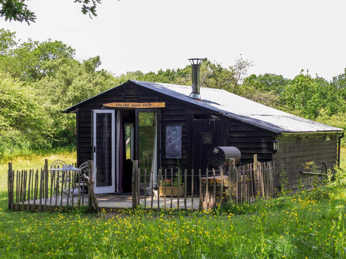 B&B Ashford - The Old Apple Shed cosy heated cottage in a meadow close to the charming village of Bethersden - Bed and Breakfast Ashford