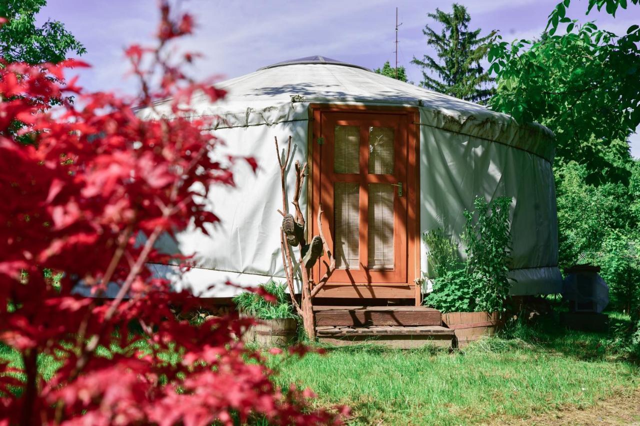 Bakonyi Tündöklő Jurta Bakonykúti - B&B Bakonykúti