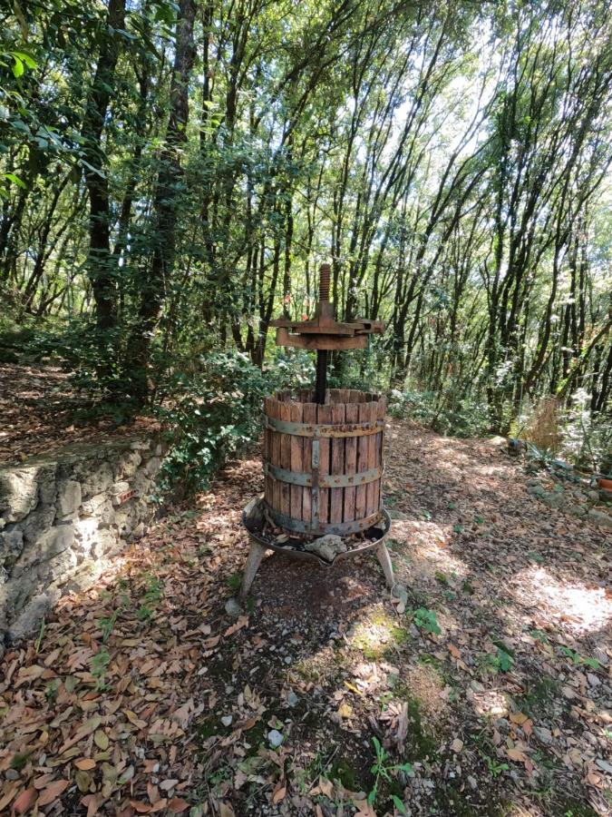 Umbria in Bici Guest House - Ferienwohnung Perugia
