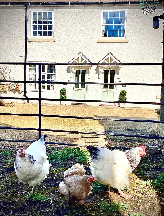 Moat Cottage, Newby Hall, Ripon, North Yorkshire - Bed and Breakfast Copt Hewick