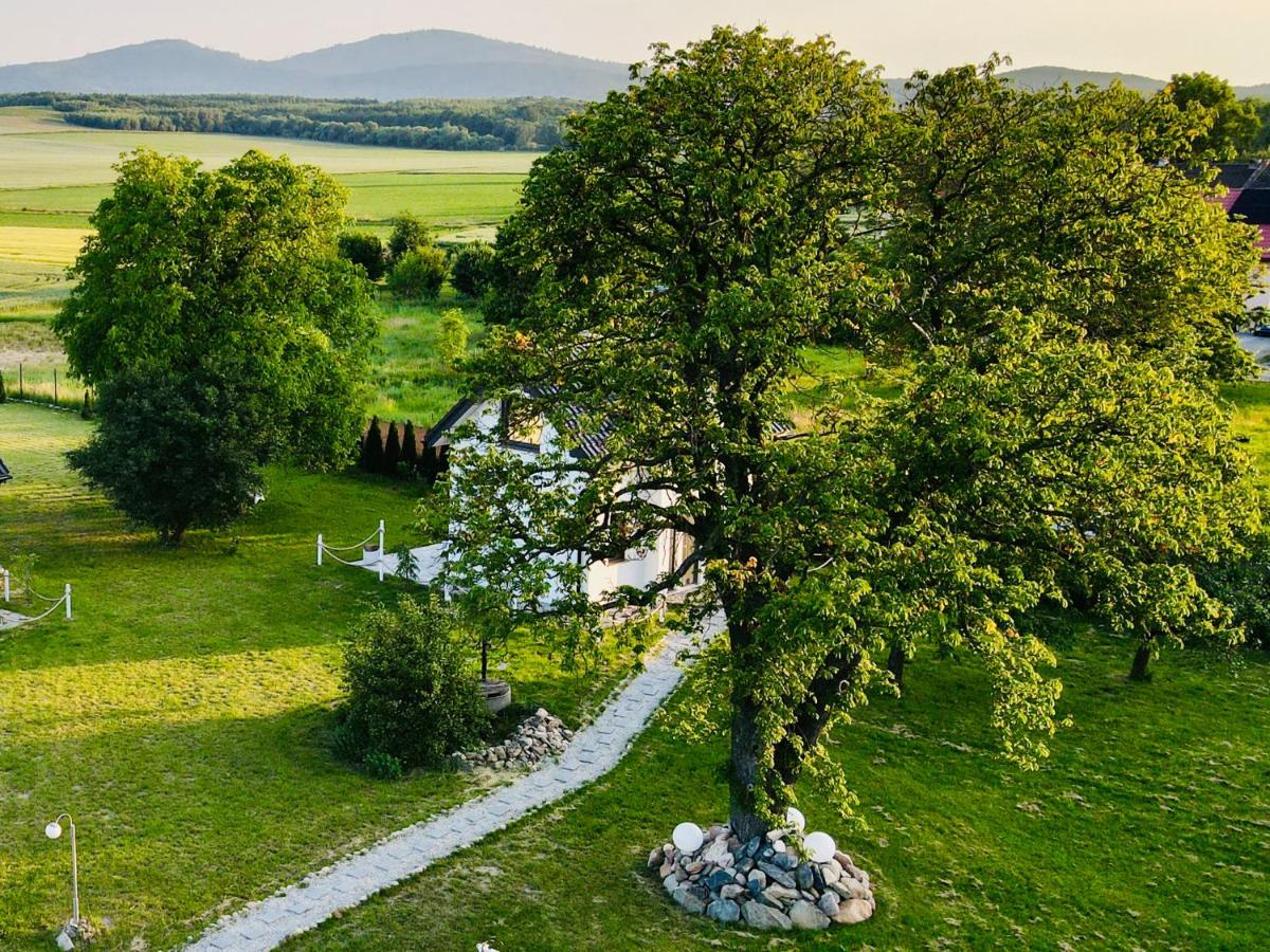 Nuka House Ami - Teatr Natury z Jacuzzi - B&B Łąka Prudnicka