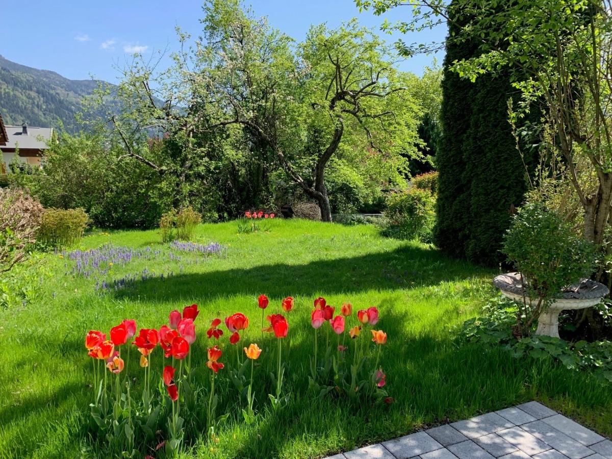 Blaues Haus Ferienwohnung Bodensdorf Ossiacher See Gerlitzen Alpe - B&B Bodensdorf