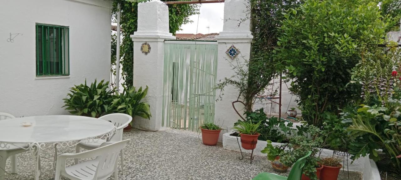 Patio and Calma - Casa Rural Vicen - B&B Santa Elena