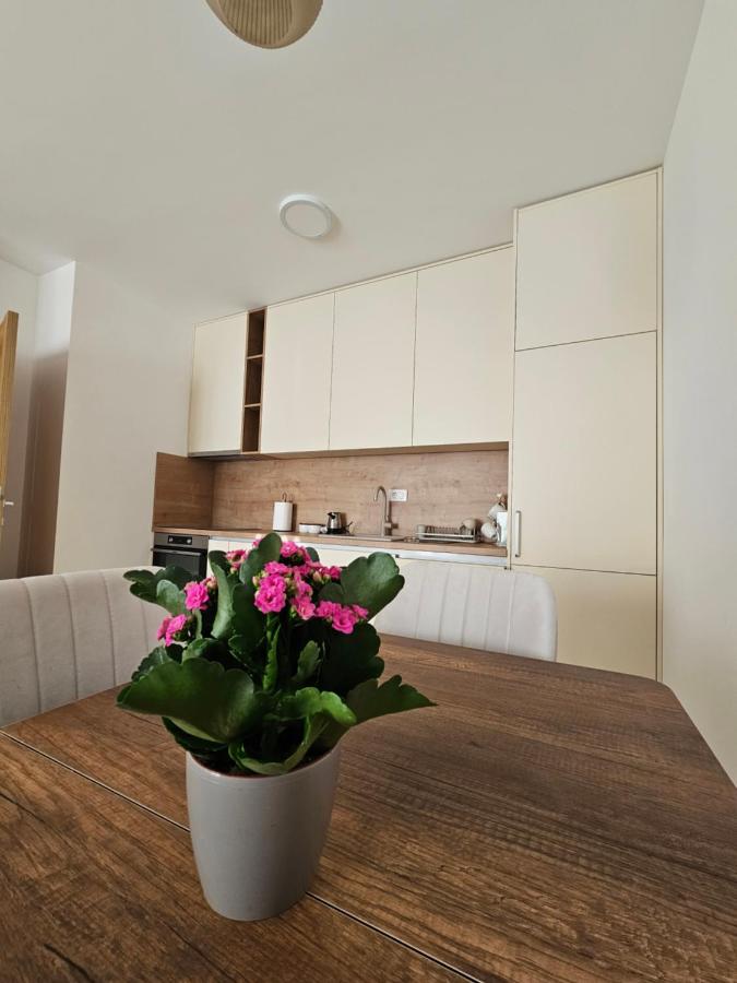 Family Residence Tološi 9 - B&B Podgorica