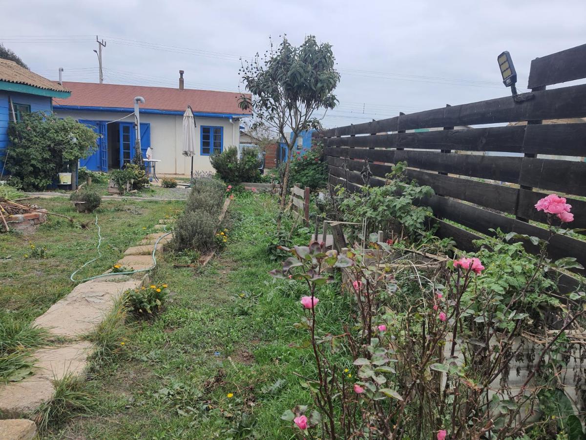 casa Constanza 643 - B&B Pichilemu