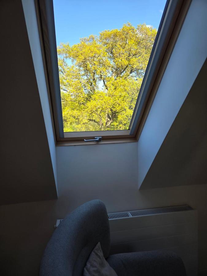 Apartament Pod Orzechem - B&B Ulinia