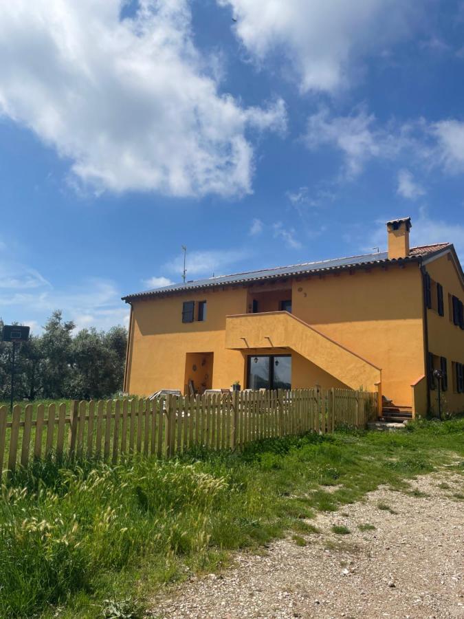 La casa di Alice - Casa Natura - B&B Senigallia