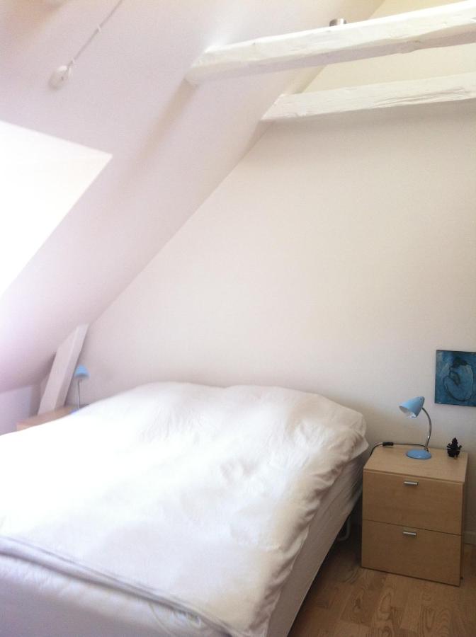 Penthouse loft - 2 bedrooms - centrally Copenhagen - B&B Copenaghen