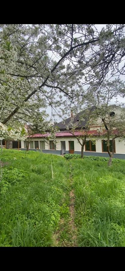 Apartament în centru Istoric Brașov - Ferienwohnung Kronstadt