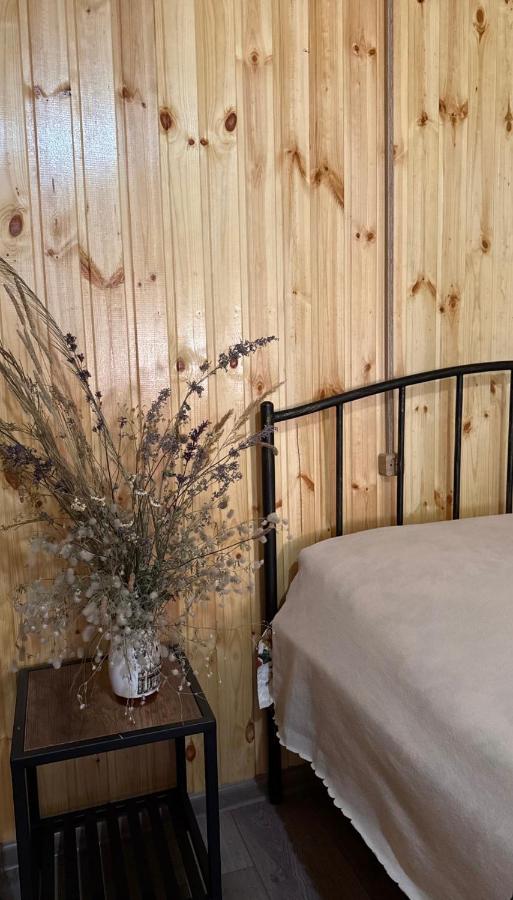 SAOTI Guest house - Bed and Breakfast Shat’ili
