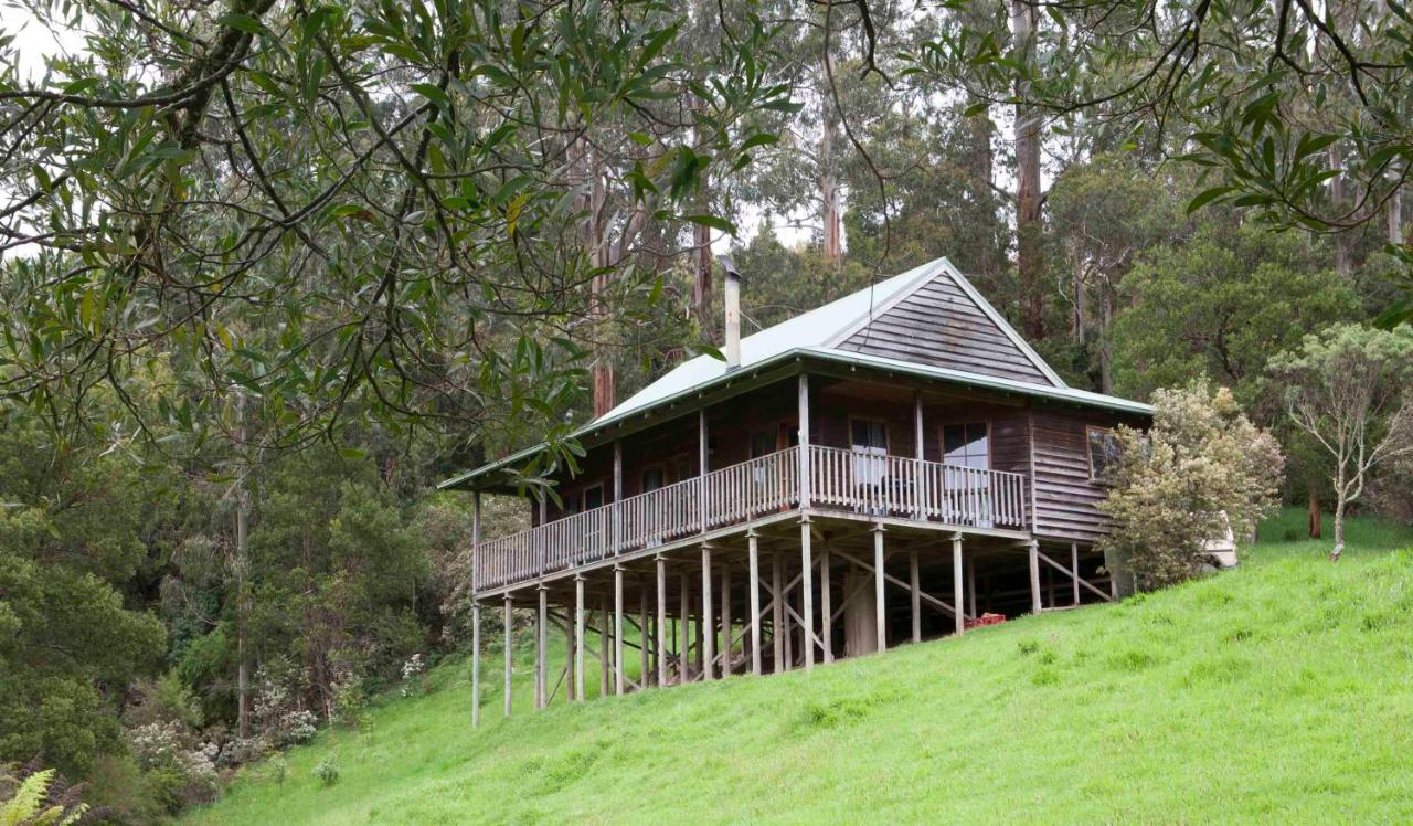 Tall Trees Eco Retreat - Blackwood Cottage - B&B Apollo Bay