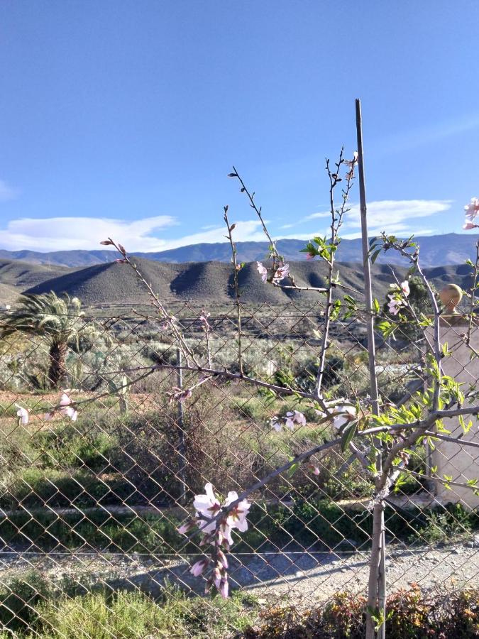 Finca Indalopez - B&B Tabernas